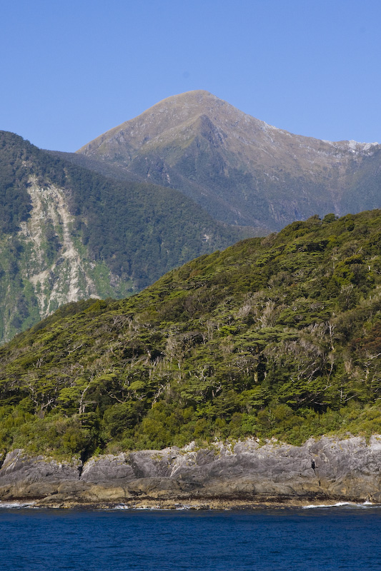 Mountains Above Doubtful Sound